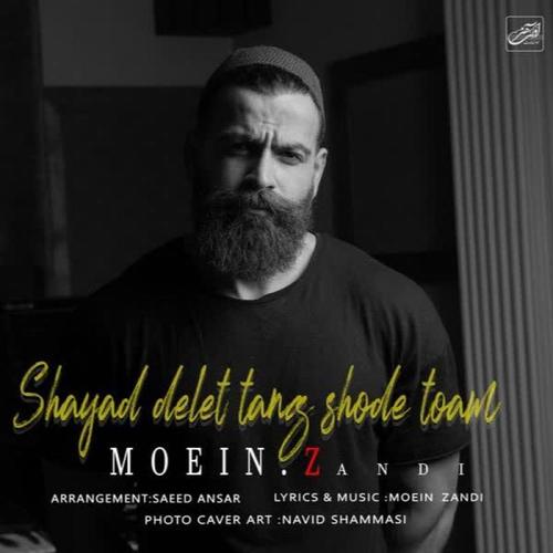 آهنگ بی کلام شاید دلت تنگ شده توام از معین زندی